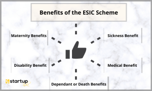 Eligibility & Benefits Of ESI Registration | Call: 8881-069-069