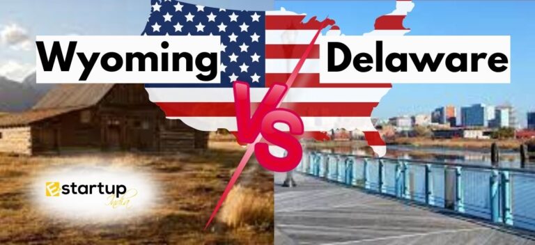 Wyoming Vs Delaware USA LLC