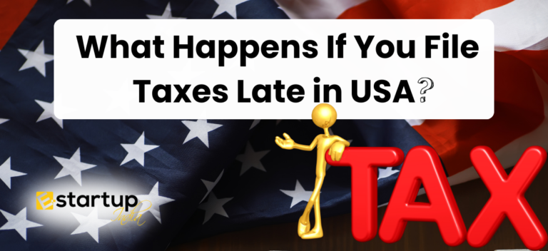 What Happens If You File Taxes Late in the USA, Late tax filing in usa, Filing Your Taxes Late in USA,