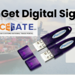 how to get digital signature for icegate, digital signature for icegate, Steps to get Digital Signature for ICEGATE