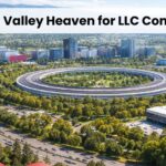 Silicon Valley LLC Company