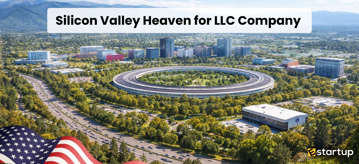 Silicon Valley LLC Company